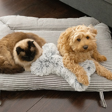 2-in-1 Hamptons Stripe Sofa Pet Bed
